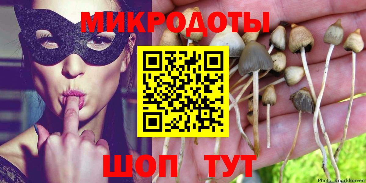 Псилоцибиновые грибы мицелий  Вход с VPN  Псилоцибиновые грибы Cubensis  Камень-на-Оби 