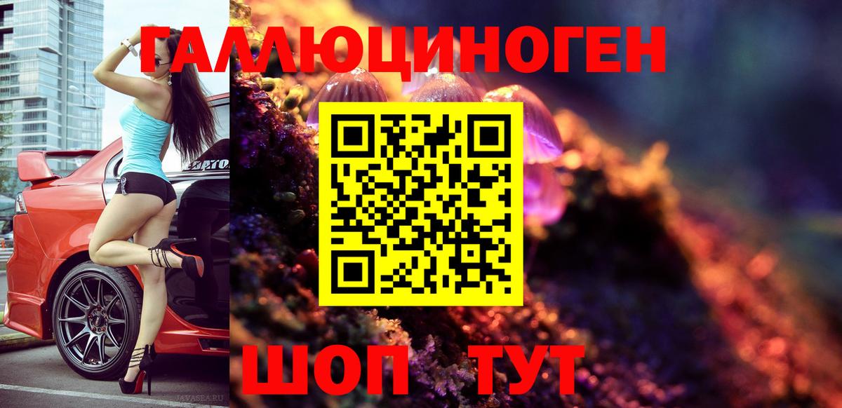 Псилоцибиновые грибы Psilocybine cubensis Камень-на-Оби